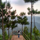 Gambar Gravatar