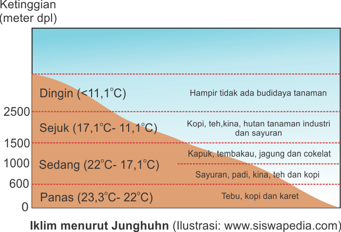 Iklim menurut Junghuhn