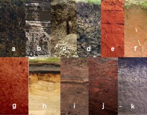 Jenis-jenis tanah a)Tanah Organosol atau Tanah Gambut b) Aluvial c) Regosol d) Litosol e) Latosol f) Grumusol g) Podsolik h) Podsol i) Andosol j) mediteran merah kuning k) Hidromorf Kelabu