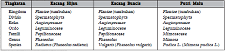 Sistem Tata Nama Ganda atau Binomial Nomenclature beberapa tumbuhan