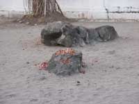 Batu tempat Senopati melakukan semedi