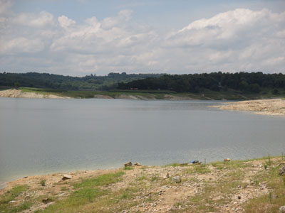 Lingkungan asri di waduk kedung ombo