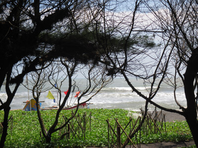 Panorama Pantai Baru Yogyakarta