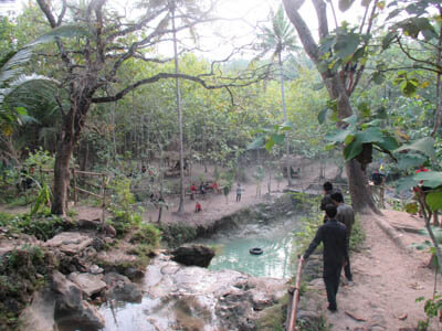 Lingkungan Kedung Pengilon Bangunjiwo yang merupakan kawasan hutan jati