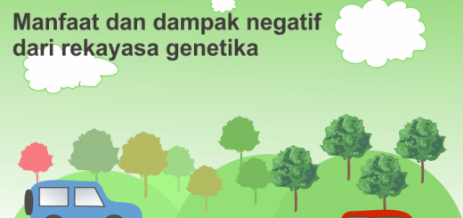 Pengertian dan Contoh Peranan Bioteknologi Tradisional dan 