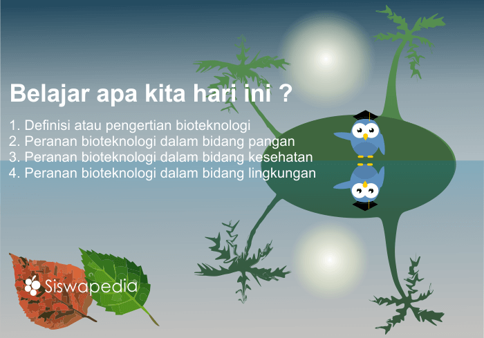 Pengertian dan Contoh Peranan Bioteknologi Tradisional dan Modern