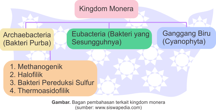 Ciri-Ciri dan Klasifikasi Kingdom Monera