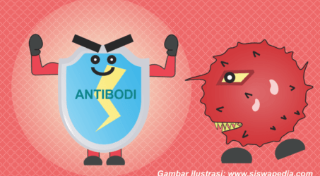 Pengertian Antibodi, Sifat, Fungsi, Struktur dan Jenisnya