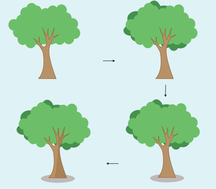 Cara Membuat Gambar Pohon Sederhana