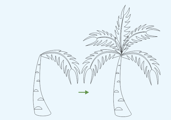 Cara Mudah Membuat Gambar sketsa Pohon Kelapa 