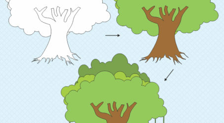 Membuat Sketsa Gambar Pohon Beringin Untuk Diwarnai