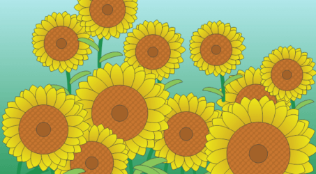 Cara Menggambar Bunga Matahari