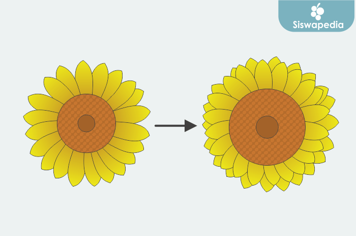 Cara membuat gambar bunga matahari 1.png