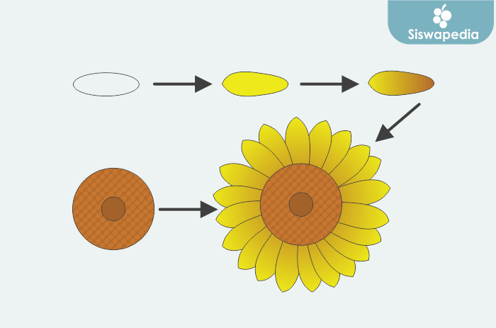 Cara membuat gambar bunga matahari.png