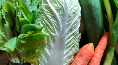 Cara Menurunkan Berat Badan Dengan Diet Vegetarian