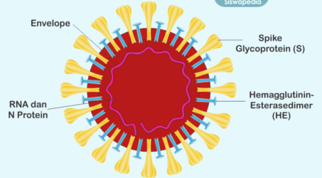 Ilustrasi Virus Corona untuk artikel Pola Hidup Sehat Untuk Mencegah Infeksi Virus Corona
