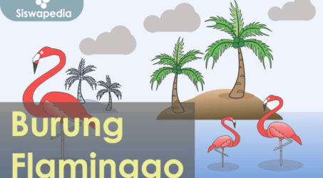 Burung Flaminggo Salah Satu Contoh Hewan Omnivora