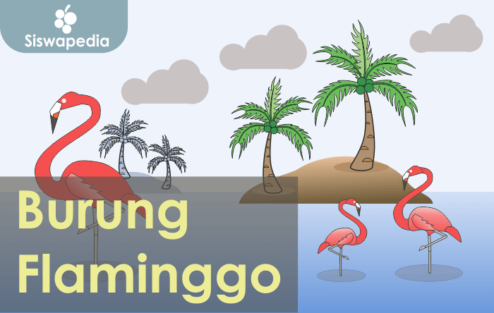 Burung Flaminggo Salah Satu Contoh Hewan Omnivora
