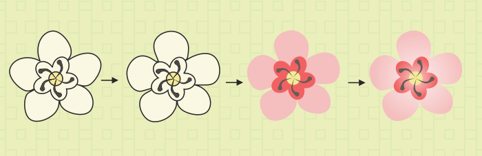 Cara menggambar dan mewarnai bunga 2