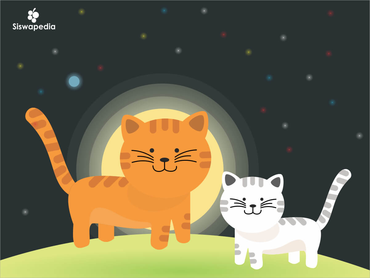 Cara Membuat Sketsa Gambar Kucing Mudah | Siswapedia